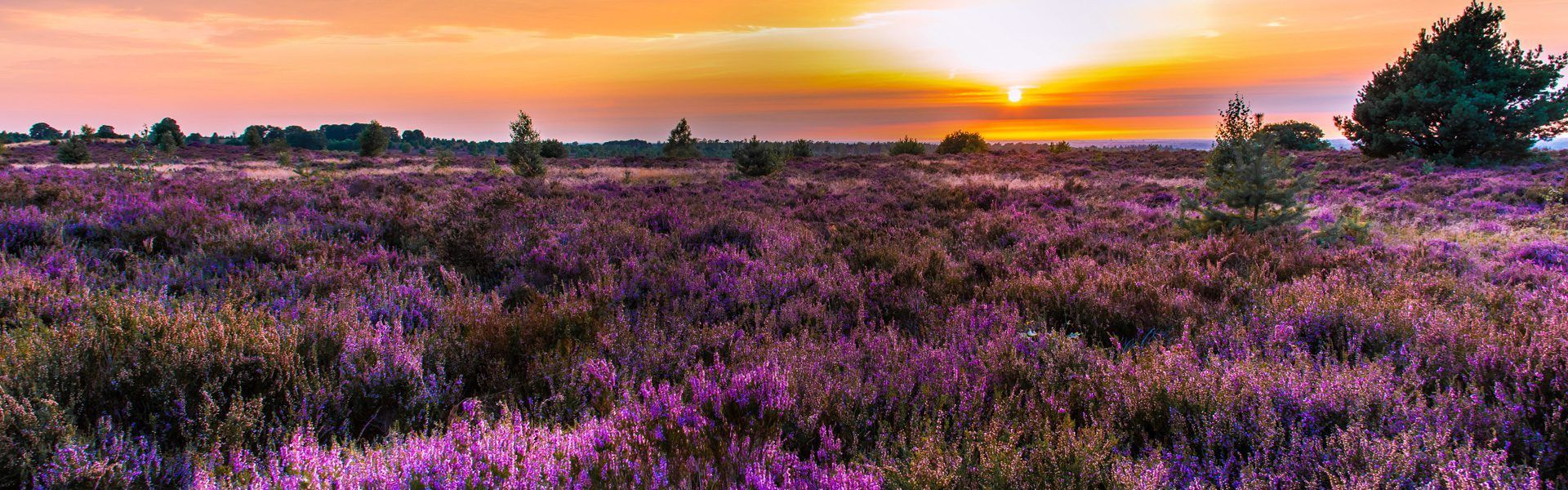 natuur Twente