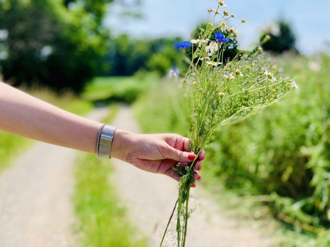 Twente Wandelen