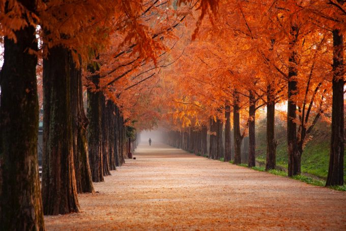 Herfst in Twente hotel