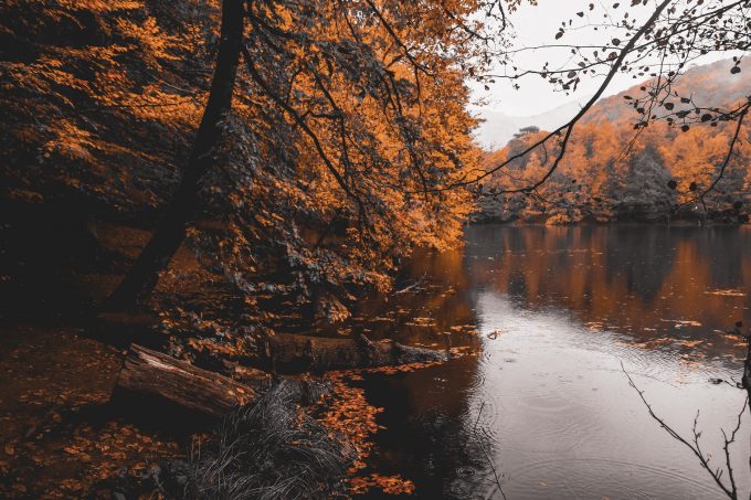 Herfst De Lutte