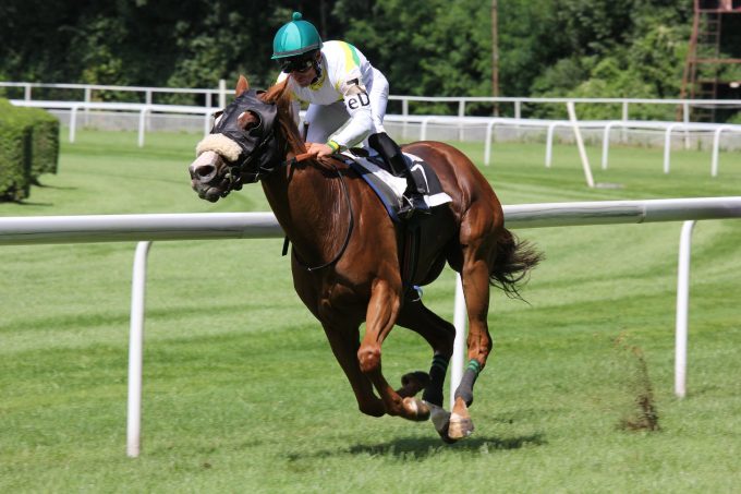 Military Boekelo Enschede paarden evenement hotel