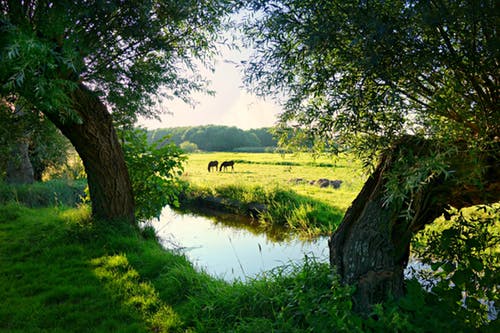 Twente